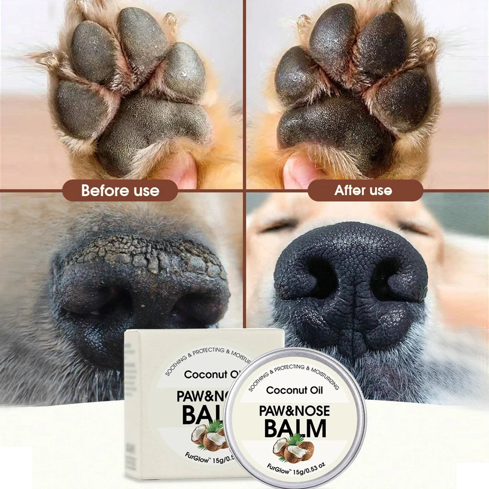 Natural ingredients for dog paw balm: coconut oil, beeswax, and olive fruit oil.