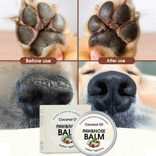 Natural ingredients for dog paw balm: coconut oil, beeswax, and olive fruit oil.